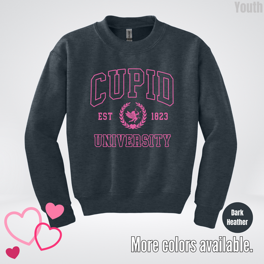 Cupid University Est 1823 Bright Pink Design Youth Crewneck Sweatshirt