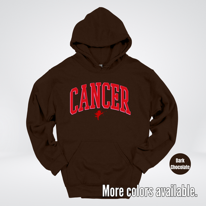 Cancer Horoscope Valentines Day Varsity Hoodie