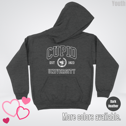 Cupid University Est 1823 White Design Youth Hoodie