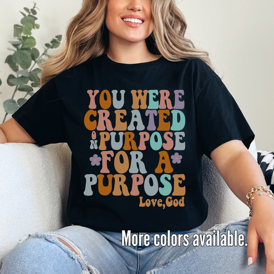 You Were Created On Purpose For A Purpose Unisex Softstyle T-Shirt